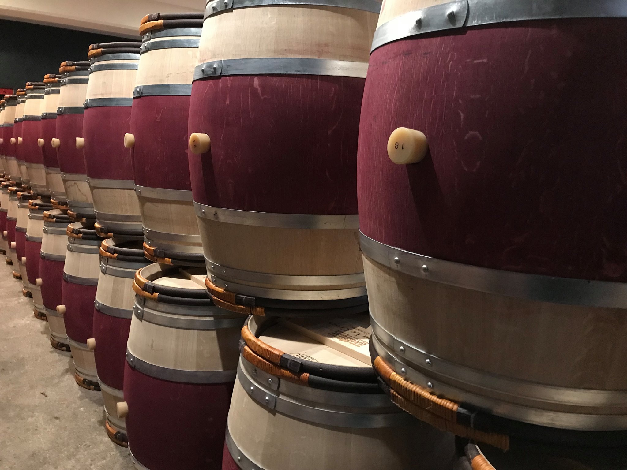 CHÂTEAU LE CROCK,Saint-Estèphe,33180,Nouvelle-Aquitaine,France