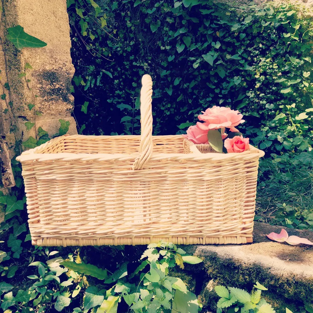 pour des tressages d'osiers brut et blanc,Lesparre-Médoc,33340,Nouvelle-Aquitaine,France