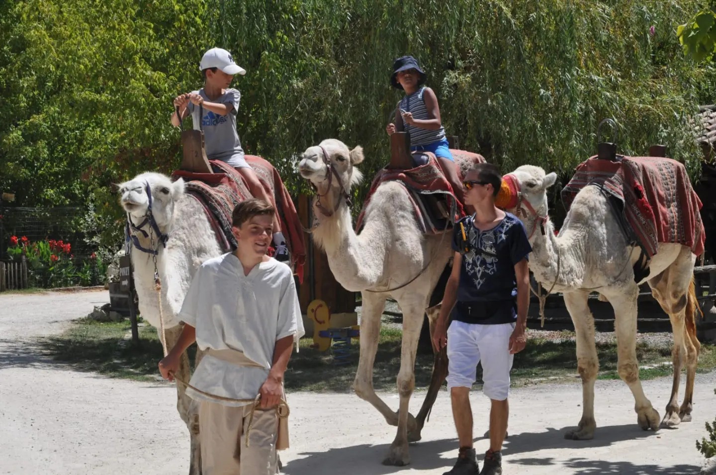 Découvrez la magie de la faune : un voyage inoubliable à travers la nature et ses merveilles !,Cadaujac,33140,Nouvelle-Aquitaine,France