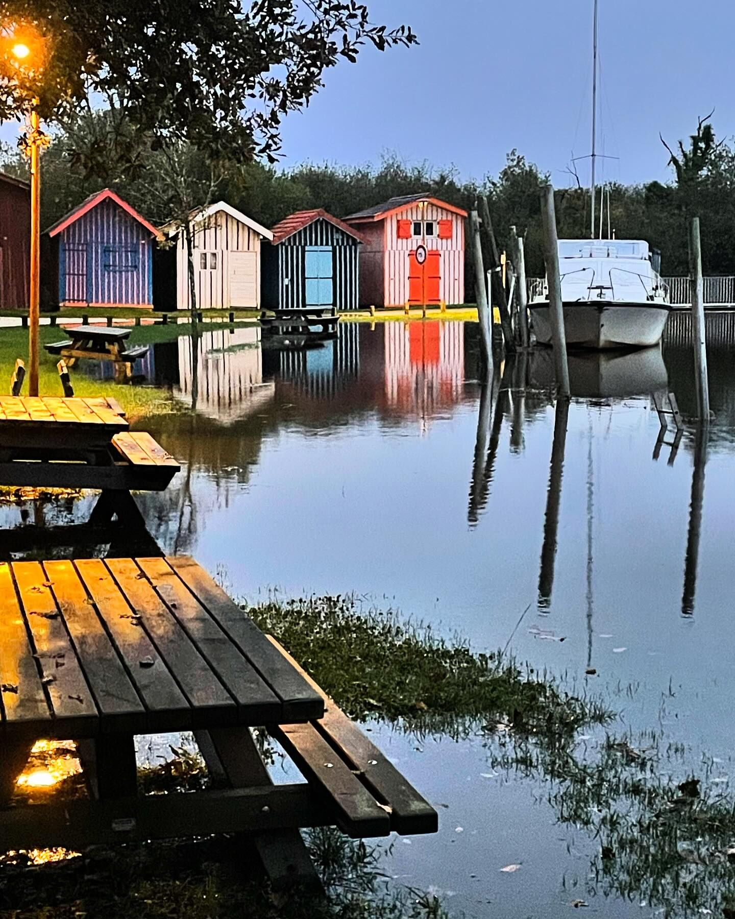 Esturgeon fumé artisanalement au bois d'aulne,Biganos,33380,Nouvelle-Aquitaine,France