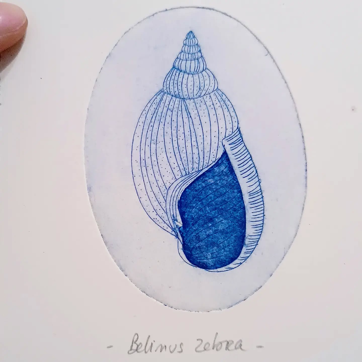 Je développe mon univers sensible et décalé à travers des illustrations,Bègles,33130,Nouvelle-Aquitaine,France