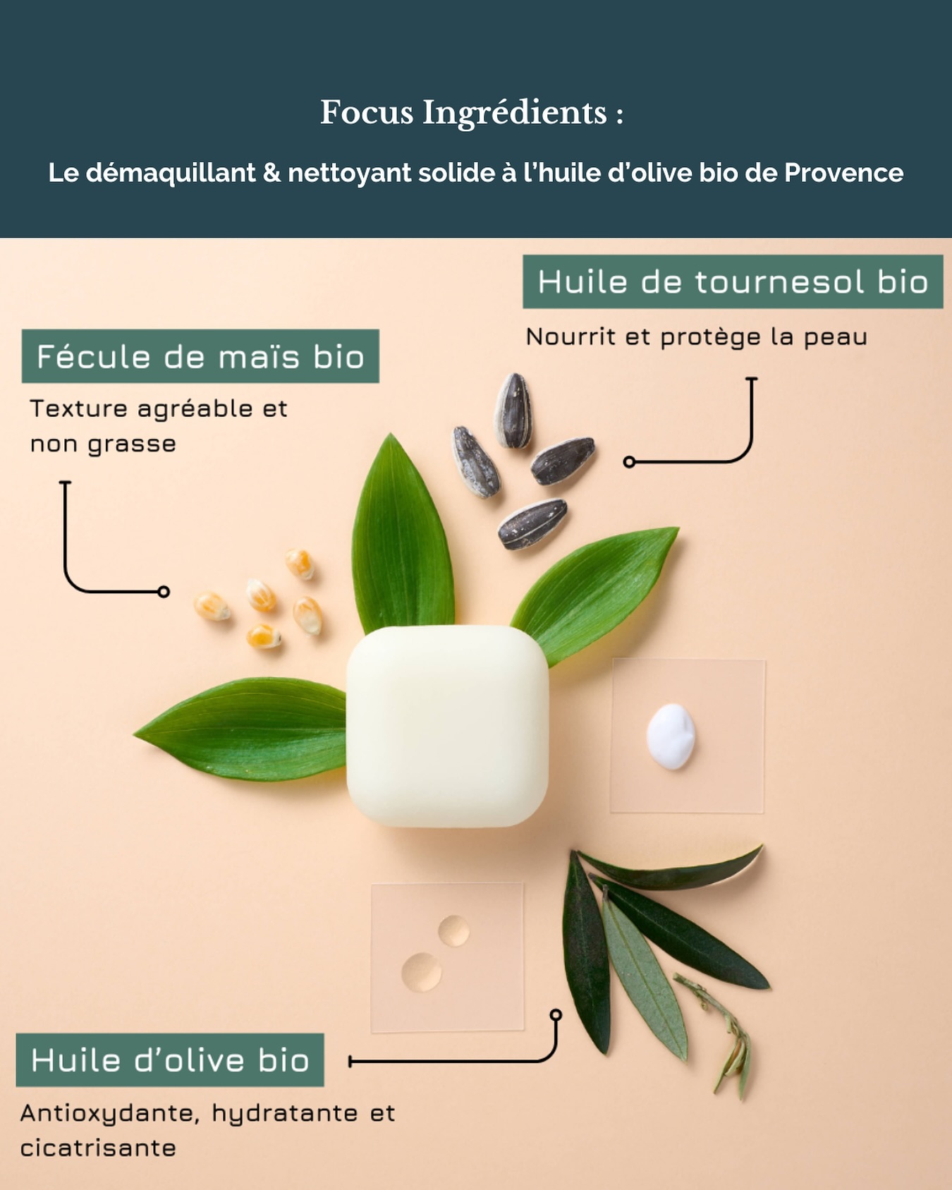 Pour des soins botaniques conçus à partir de plantes bio,Lugon-et-l'Île-du-Carnay,33240,Nouvelle-Aquitaine,France