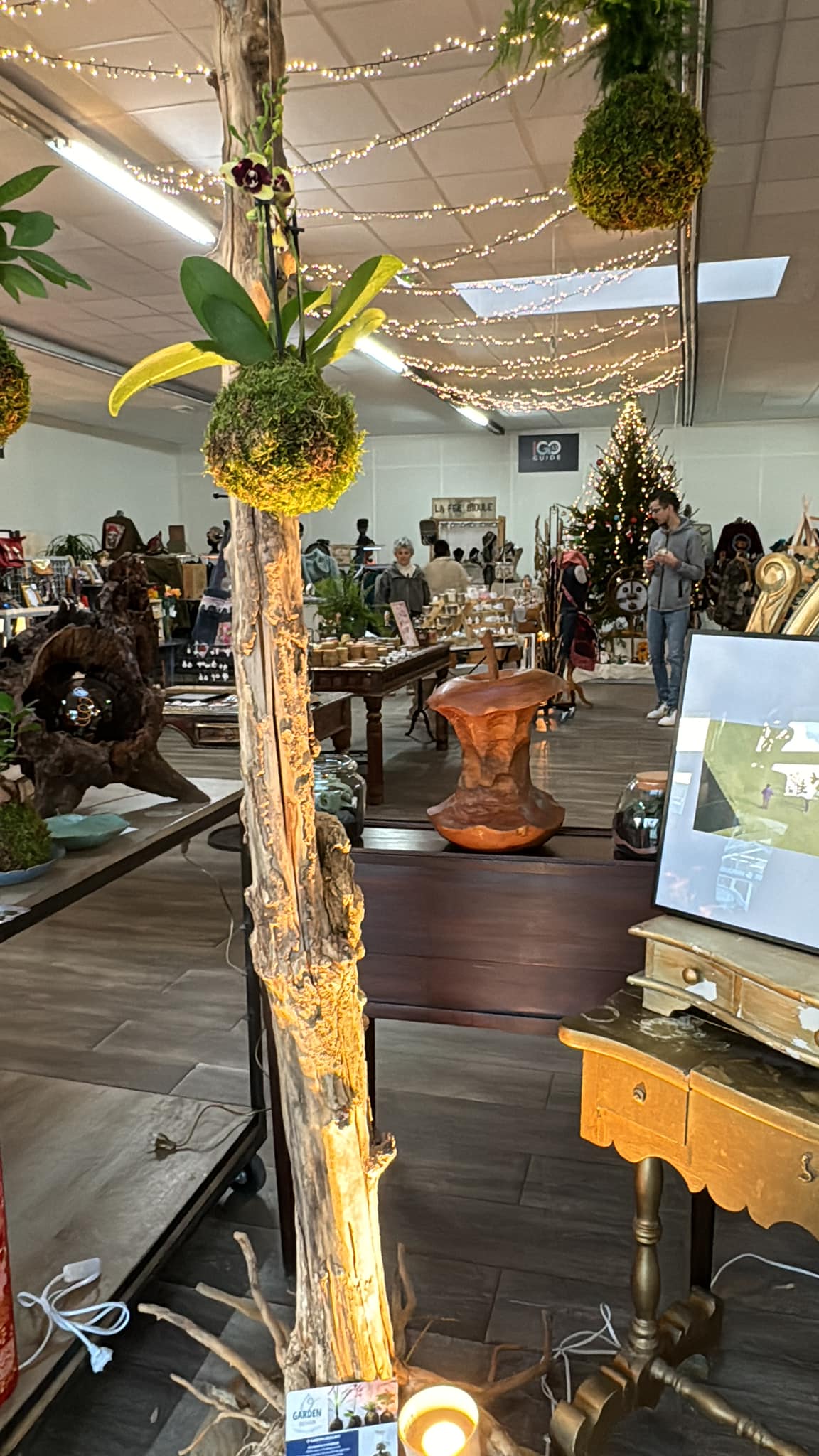 Un paysagiste d'intérieur et d'extérieur et spécialisé dans la culture des bonsaïs,Beautiran,33640,Nouvelle-Aquitaine,France