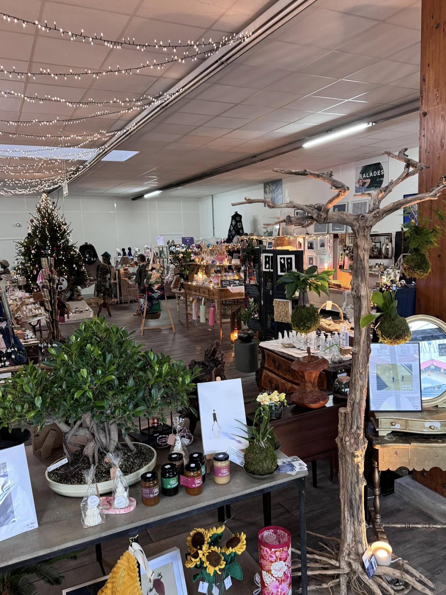 Un paysagiste d'intérieur et d'extérieur et spécialisé dans la culture des bonsaïs,Beautiran,33640,Nouvelle-Aquitaine,France