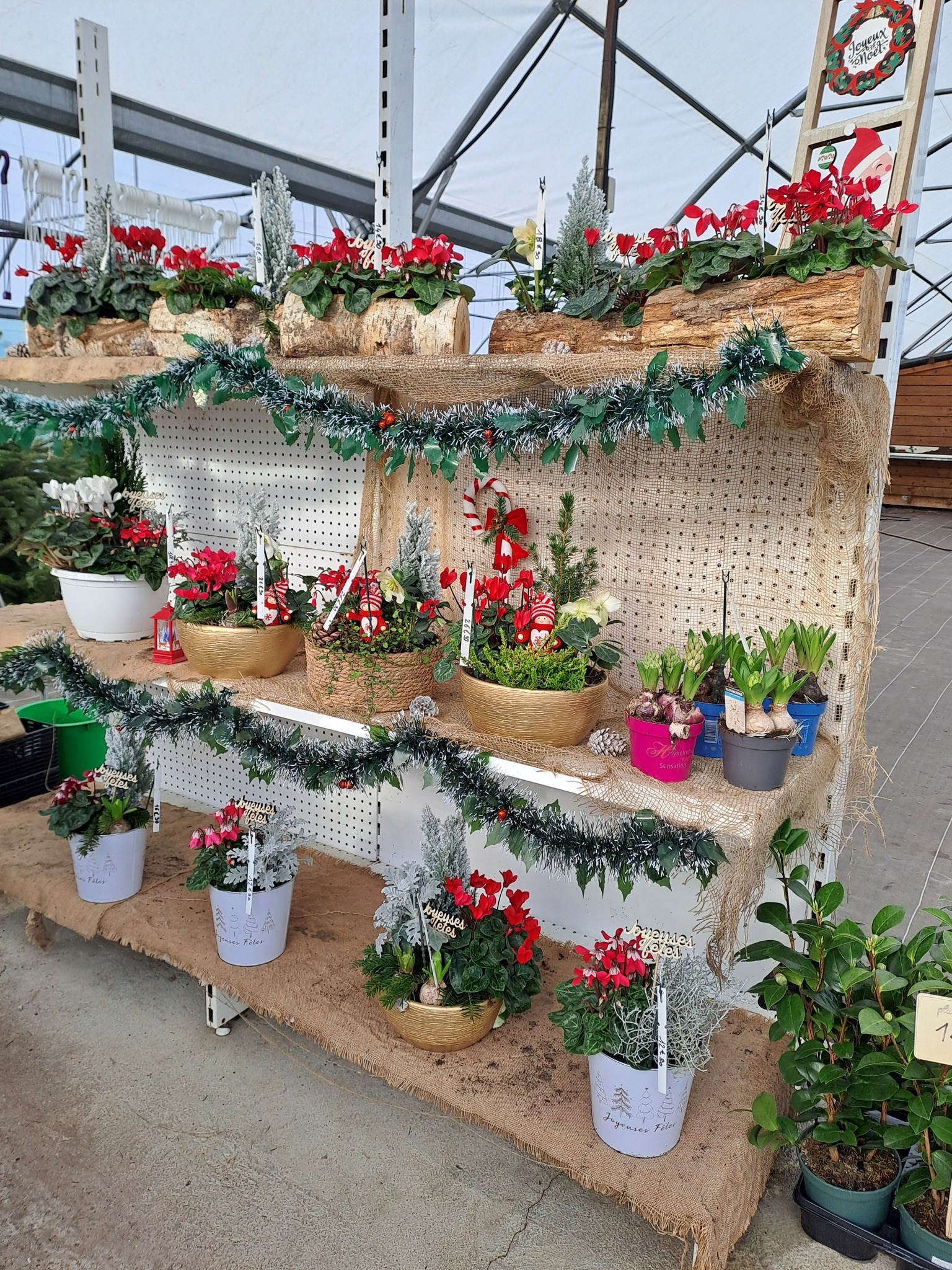 un jardinier paysagiste de l'agencement paysager!,Rauzan,33420,Nouvelle-Aquitaine,France