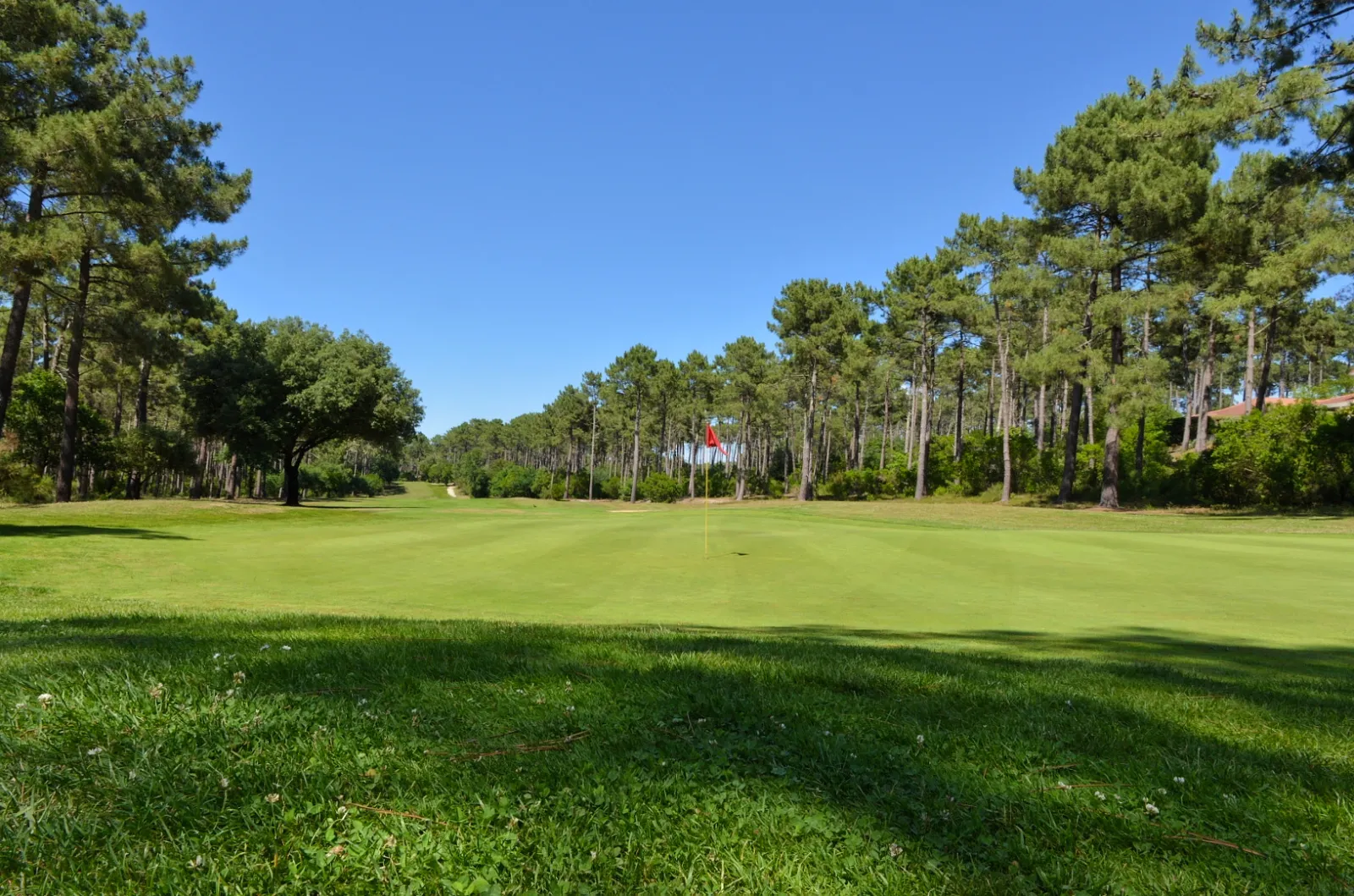 EXCLUSIV GOLF BY UGOLF,Lacanau-Océan,33680,Nouvelle-Aquitaine,France