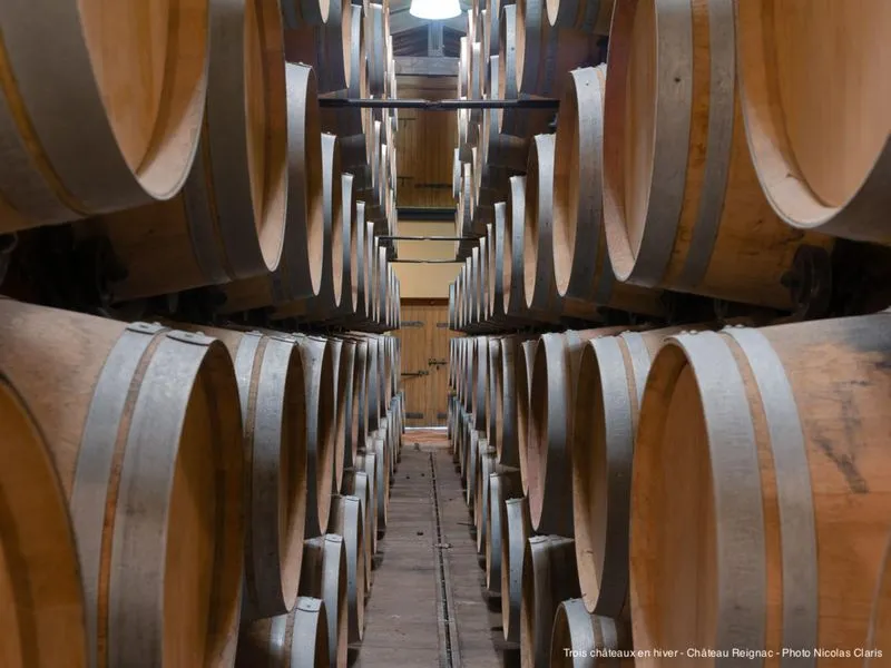 CHÂTEAU DE REIGNAC,Saint-Loubès,33450,Nouvelle-Aquitaine,France