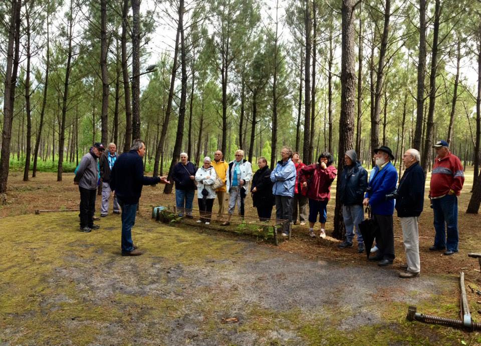 Venez visiter une authentique palombière à seulement 40 minutes de Bordeaux,Louchats,33125,Nouvelle-Aquitaine,France