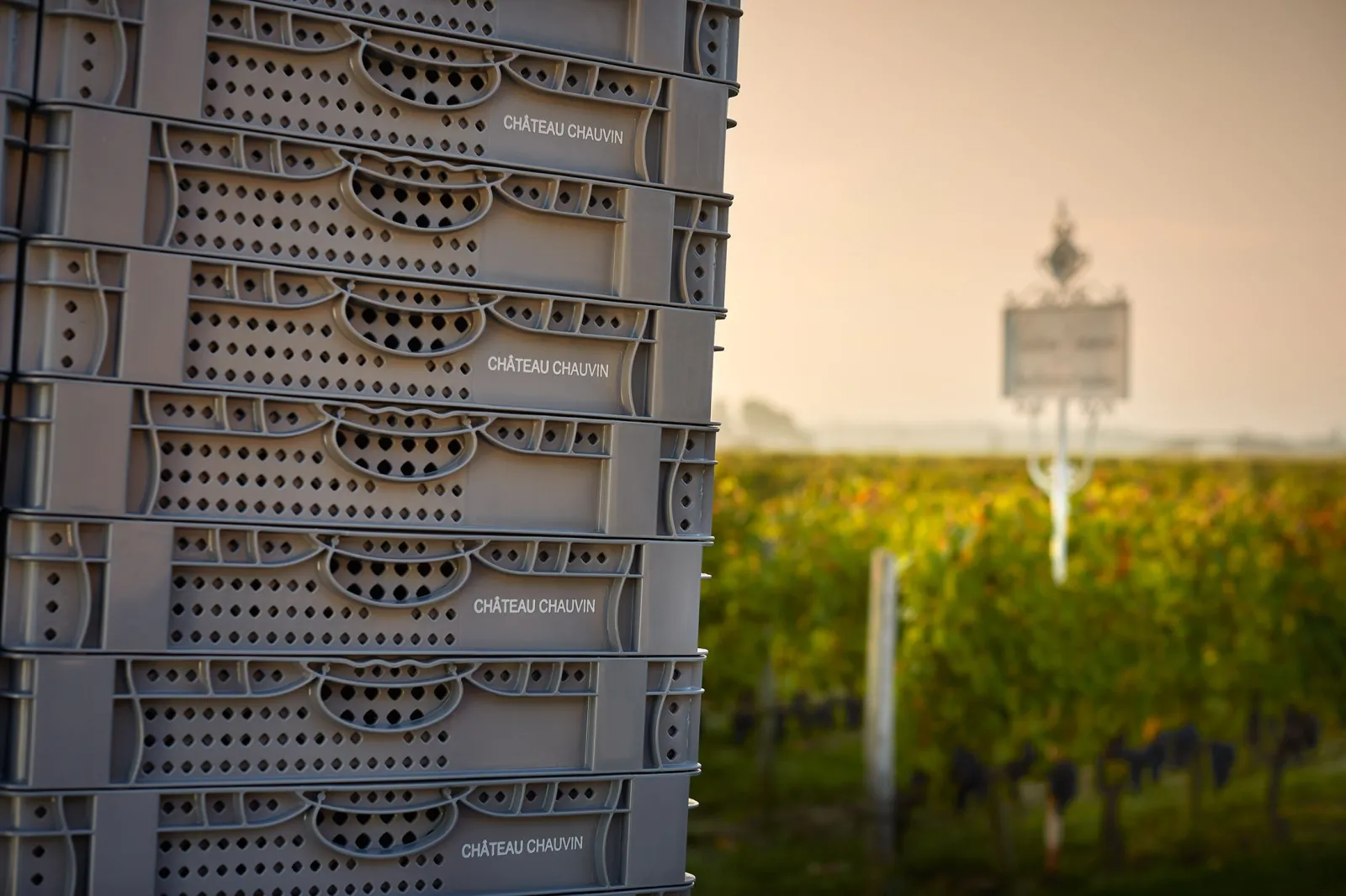 CHÂTEAU CHAUVIN,Saint-Émilion,33330,Nouvelle-Aquitaine,France