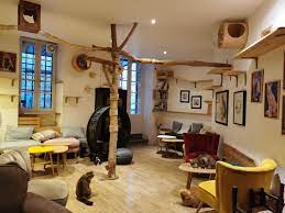 Le Comptoir Des Chats,Bordeaux,33000,Nouvelle-Aquitaine,France