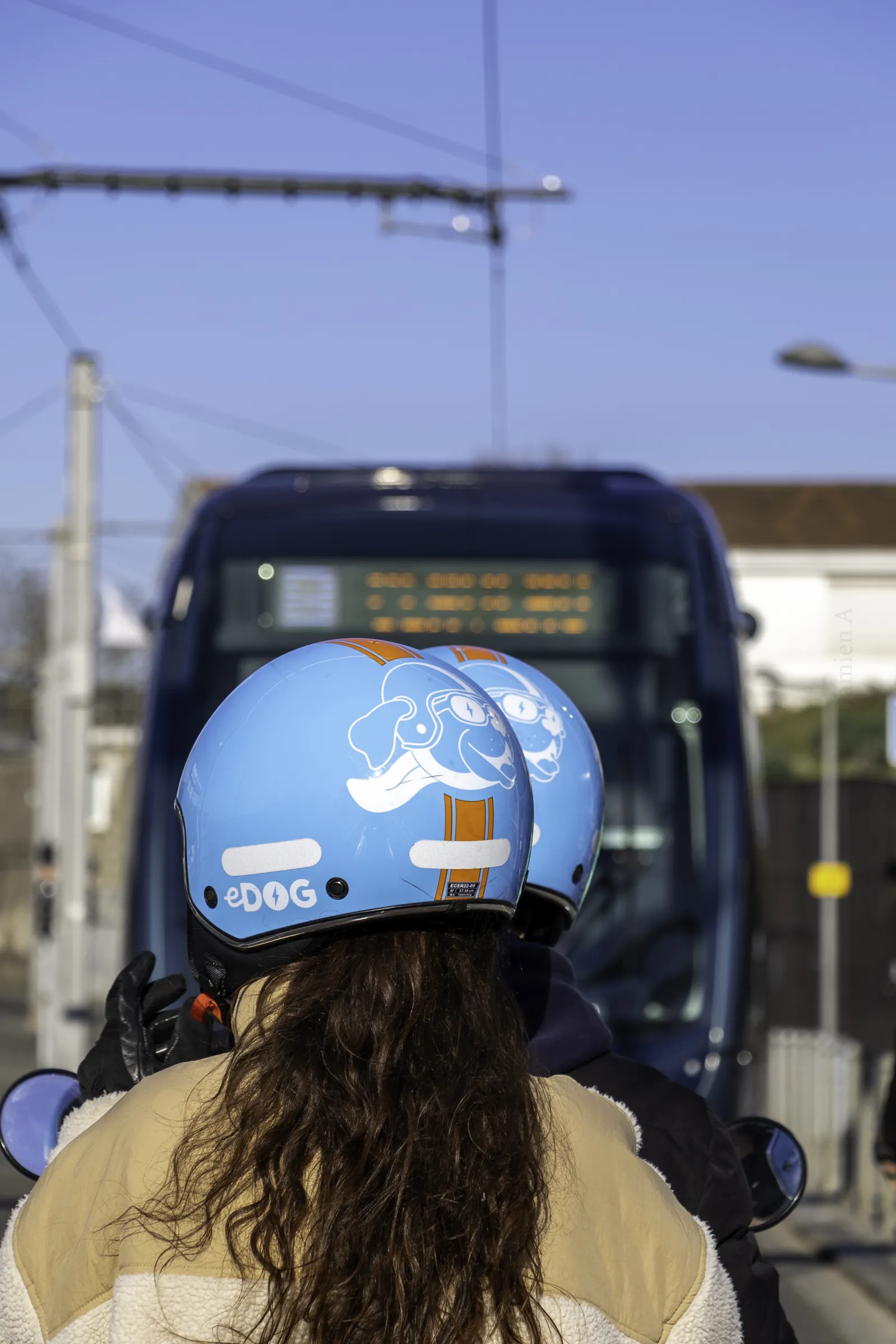 EDOG - LOCATION DE SCOOTERS EN LIBRE SERVICE,Bordeaux,33000,Nouvelle-Aquitaine,France