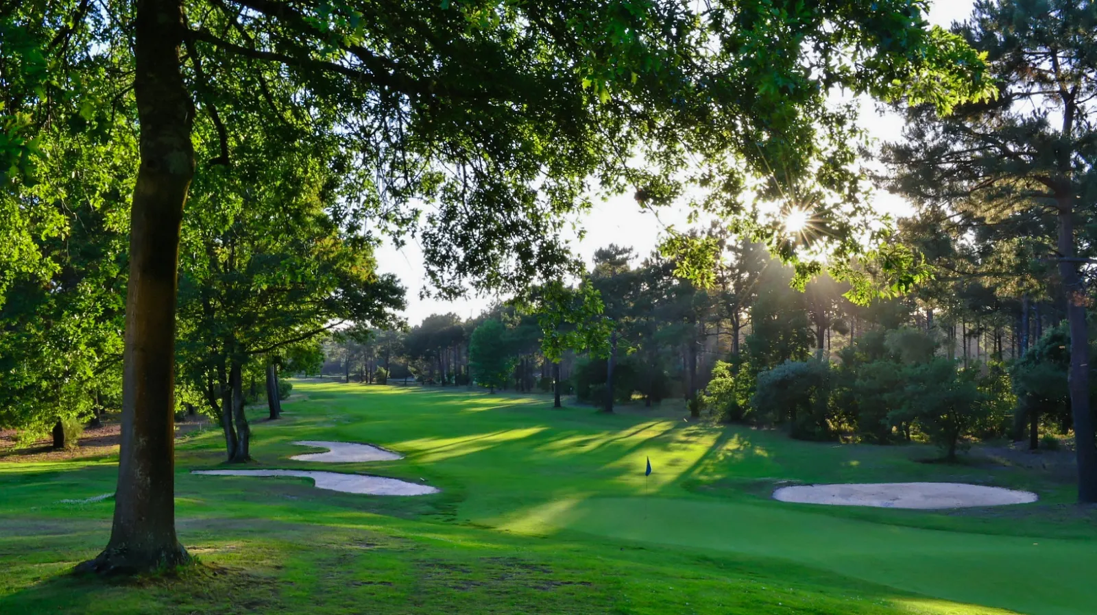 EXCLUSIV GOLF BY UGOLF,Lacanau-Océan,33680,Nouvelle-Aquitaine,France