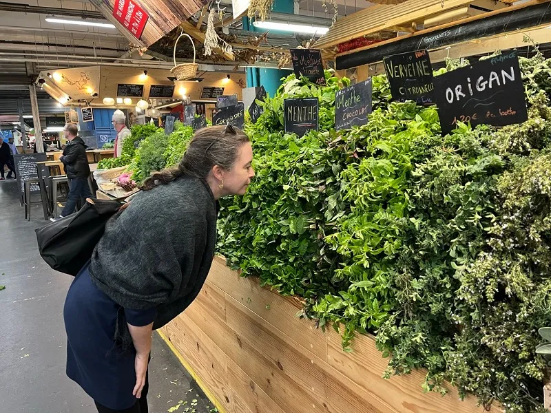 AQUITAINE TRAVEL GUIDE,Bazas,33430,Nouvelle-Aquitaine,France