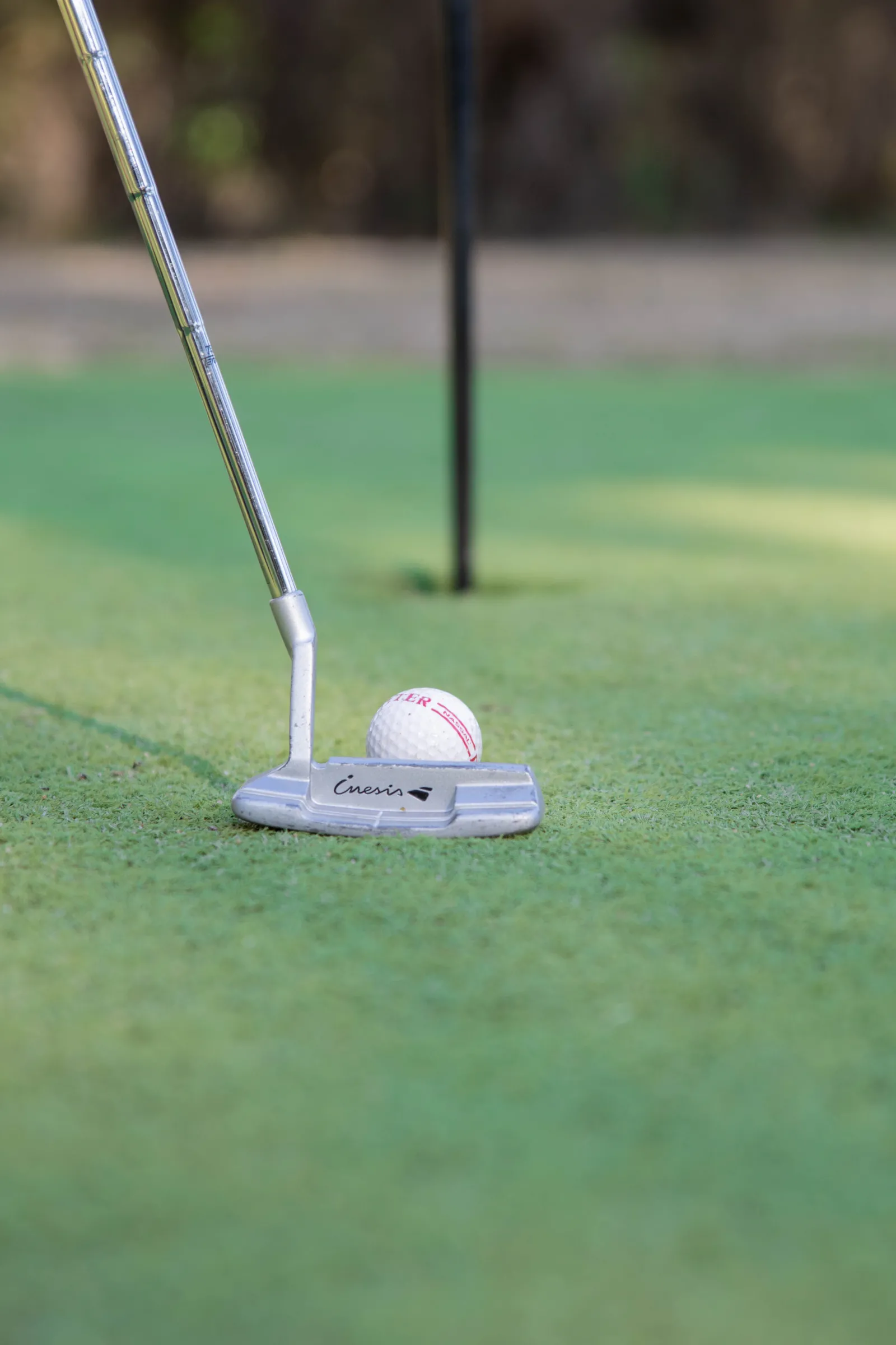 GOLF -CAP GOLF,Lège-Cap-Ferret,33950,Nouvelle-Aquitaine,France