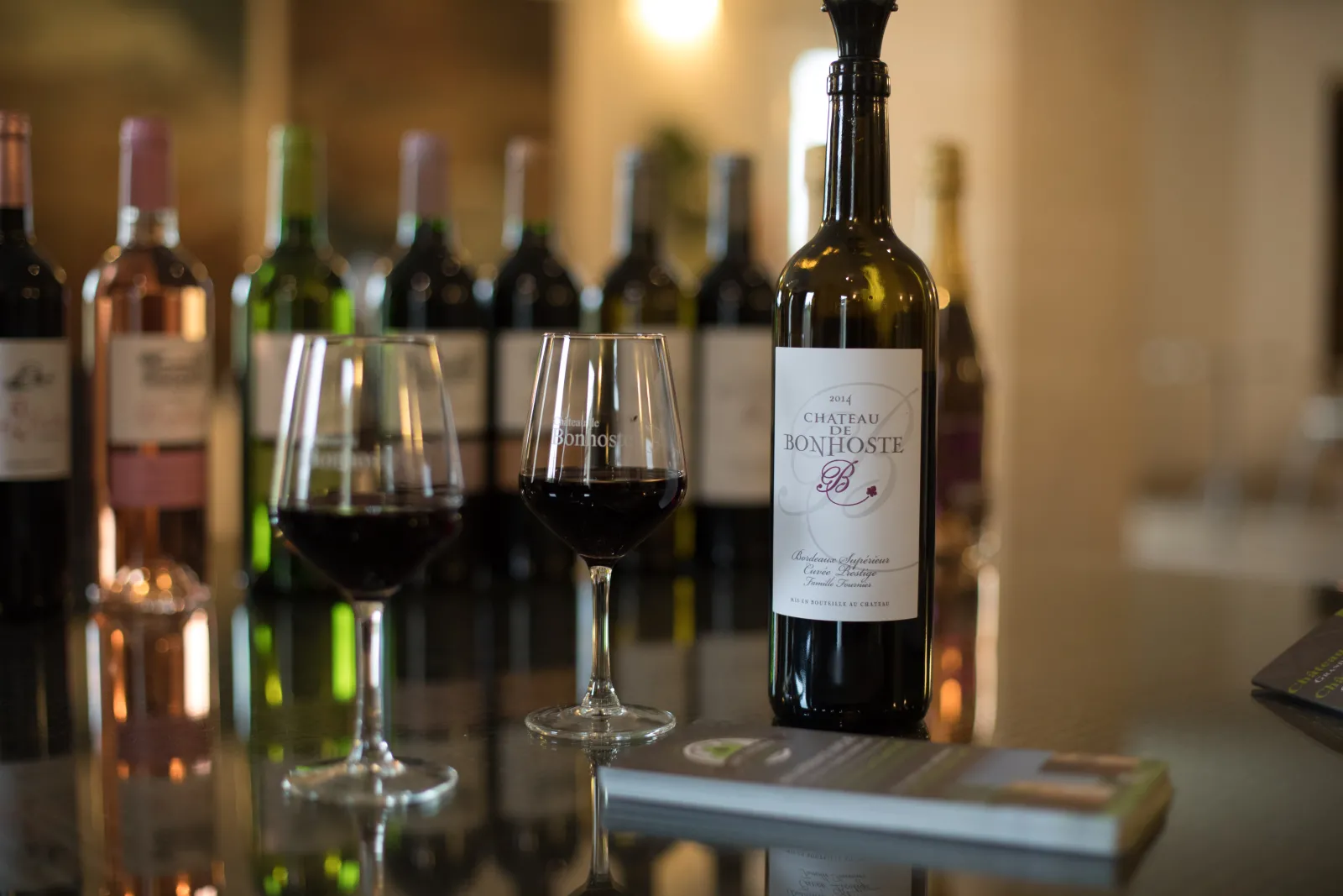 CHÂTEAU DE BONHOSTE,Saint-Jean-de-Blaignac,33420,Nouvelle-Aquitaine,France