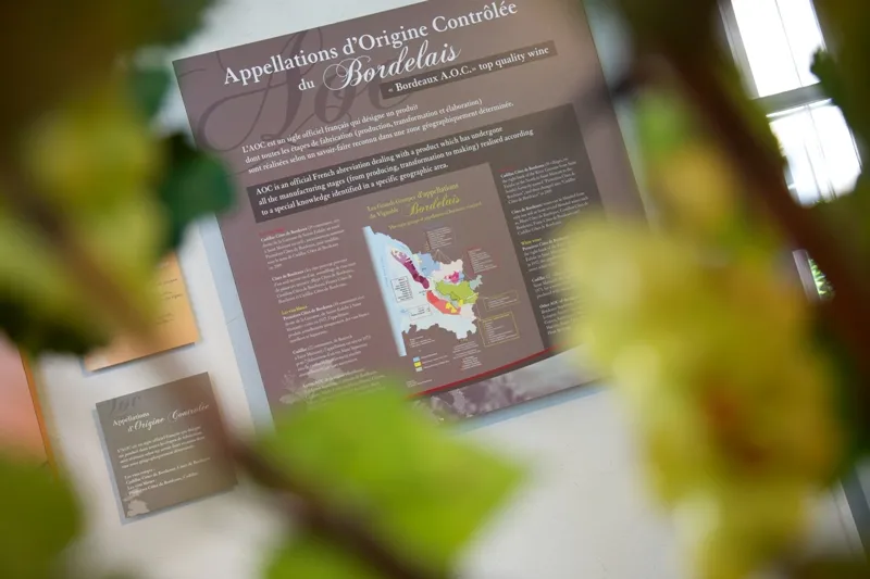 MAISON DES VINS DE CADILLAC,Latresne,33410,Nouvelle-Aquitaine,France