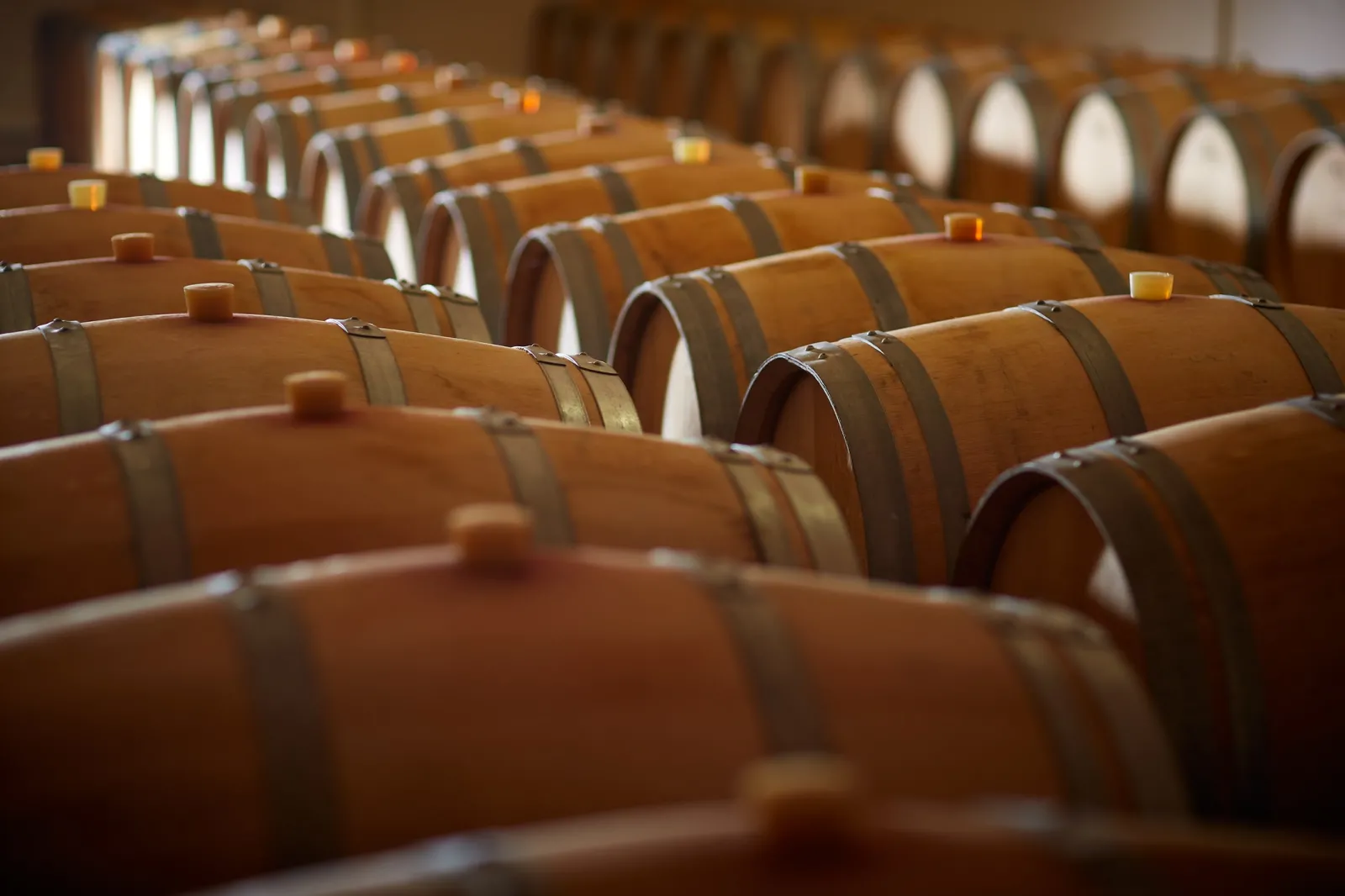 CHÂTEAU CHAUVIN,Saint-Émilion,33330,Nouvelle-Aquitaine,France