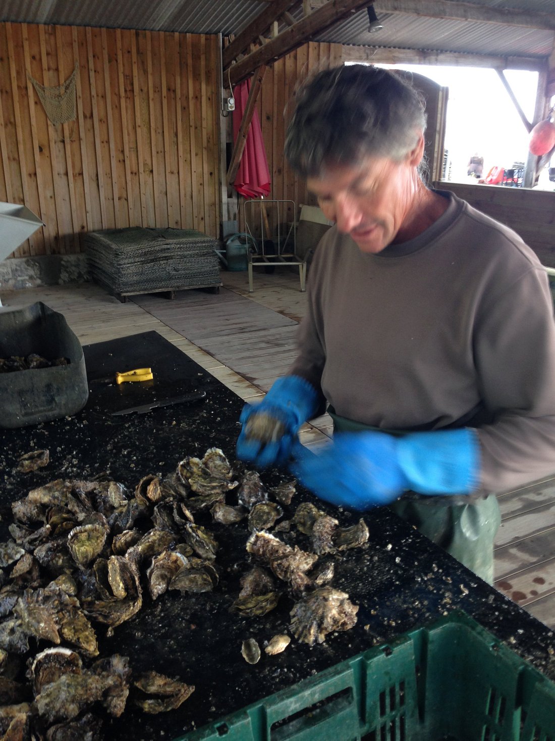 Rendez-vous Au Chateau,Bordeaux,33300,Nouvelle-Aquitaine,France