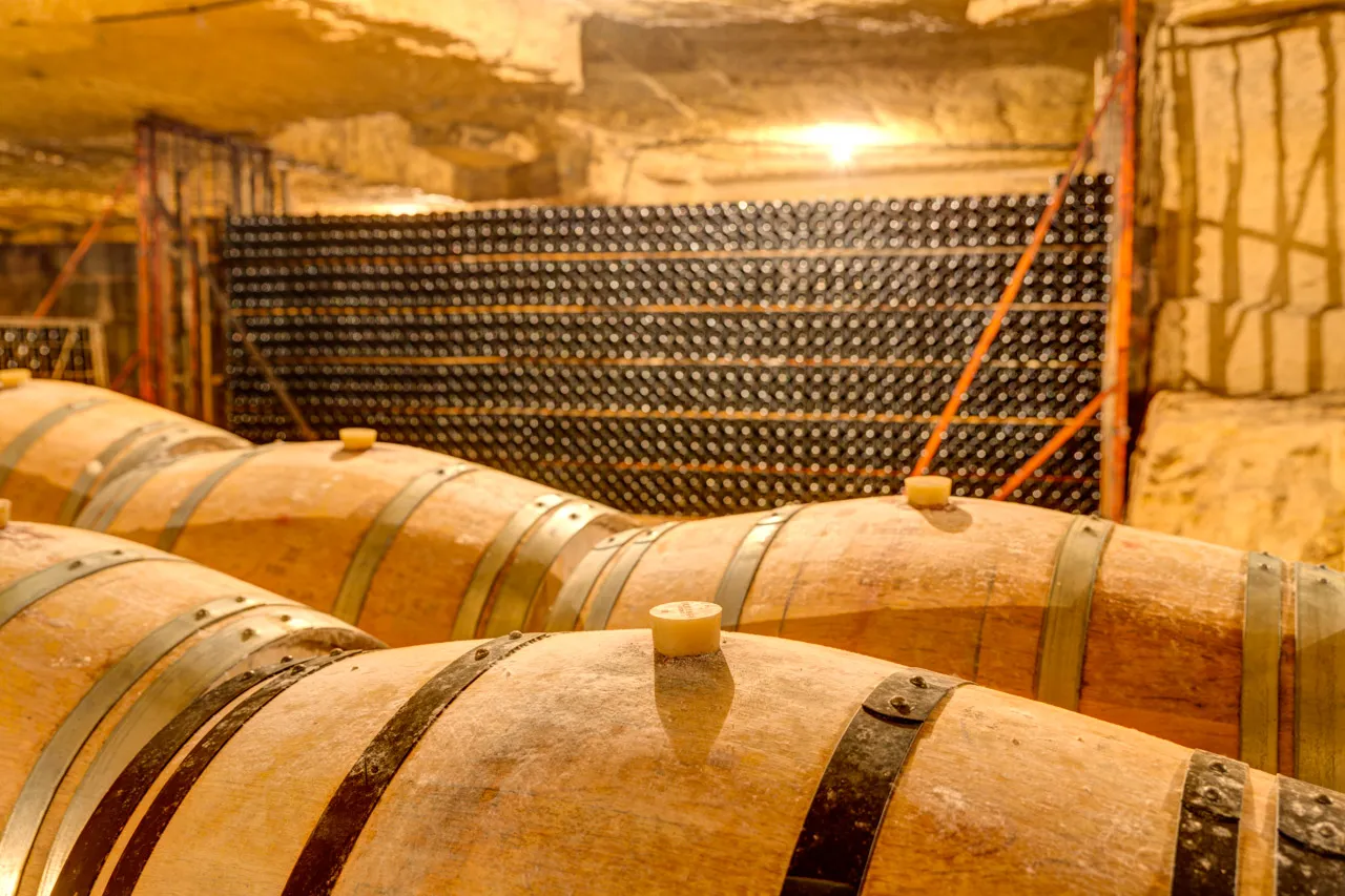 CHÂTEAU DE BONHOSTE,Saint-Jean-de-Blaignac,33420,Nouvelle-Aquitaine,France