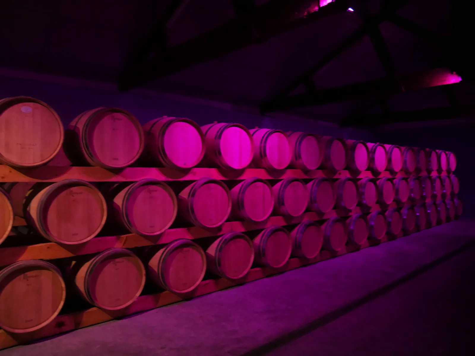 CAVE LA ROSE PAUILLAC,Pauillac,33250,Nouvelle-Aquitaine,France