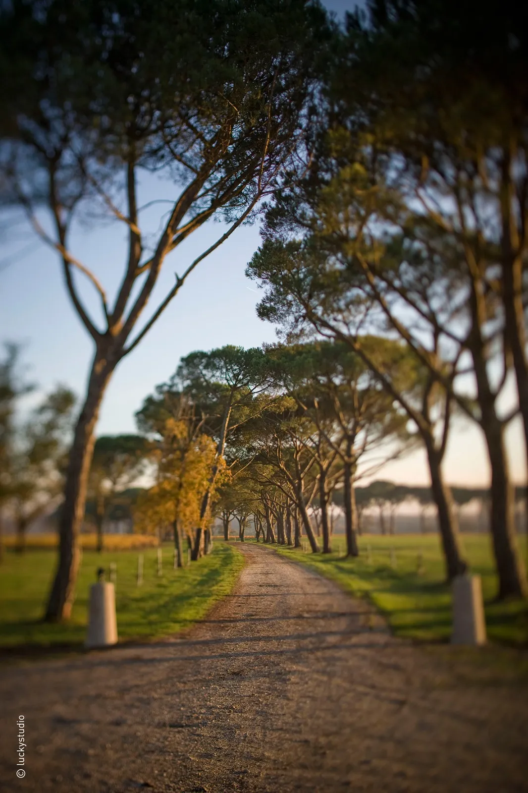 CHÂTEAU LANESSAN,Cussac-Fort-Médoc,33460,Nouvelle-Aquitaine,France