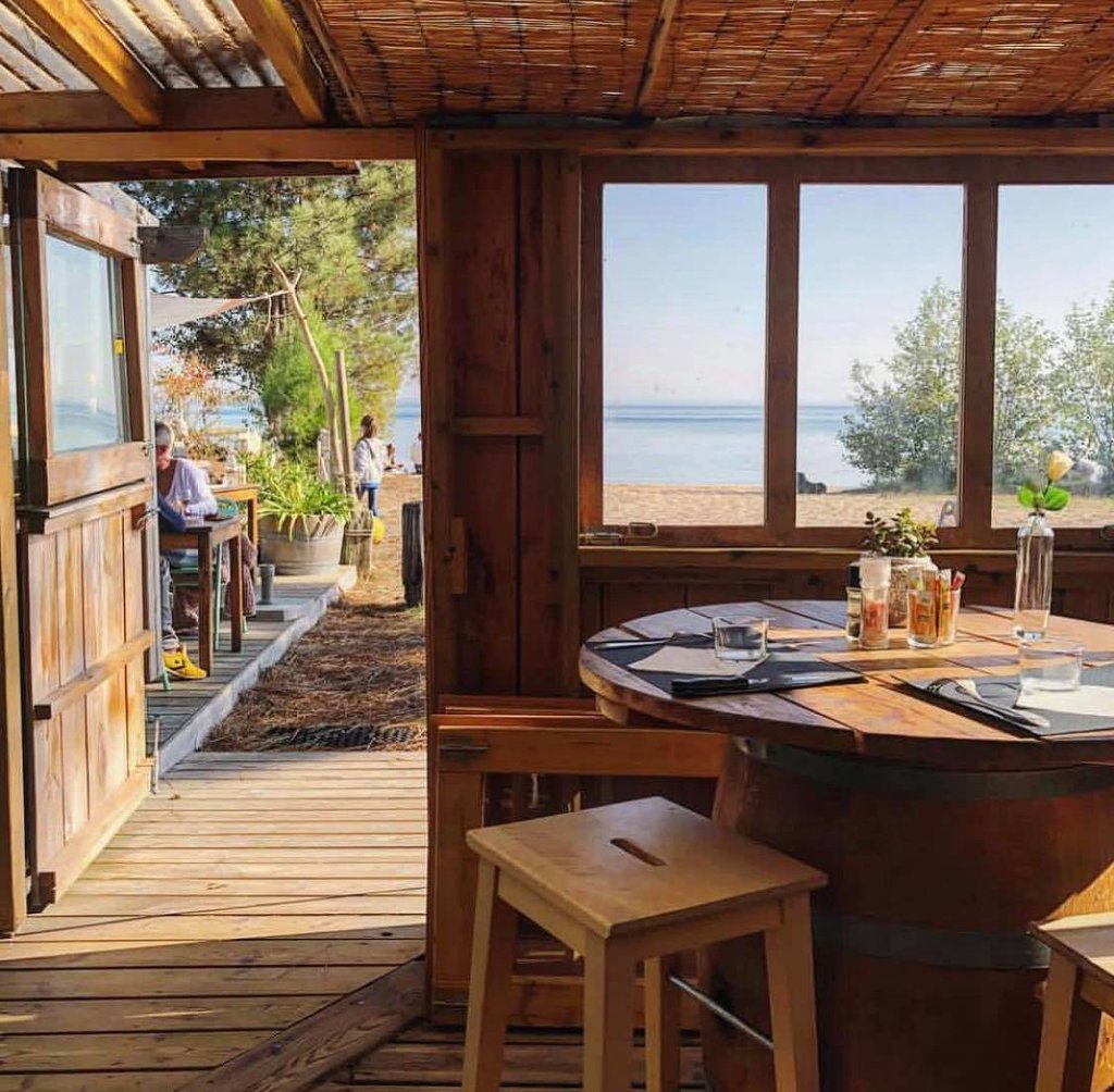 La cabane du lac chez Bardou,La Teste-de-Buch,33260,Nouvelle-Aquitaine,France