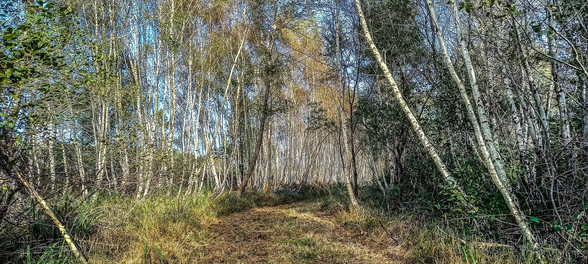 Une source naturelle au service de votre santé,Cabanac-et-Villagrains,33650,Nouvelle-Aquitaine,France