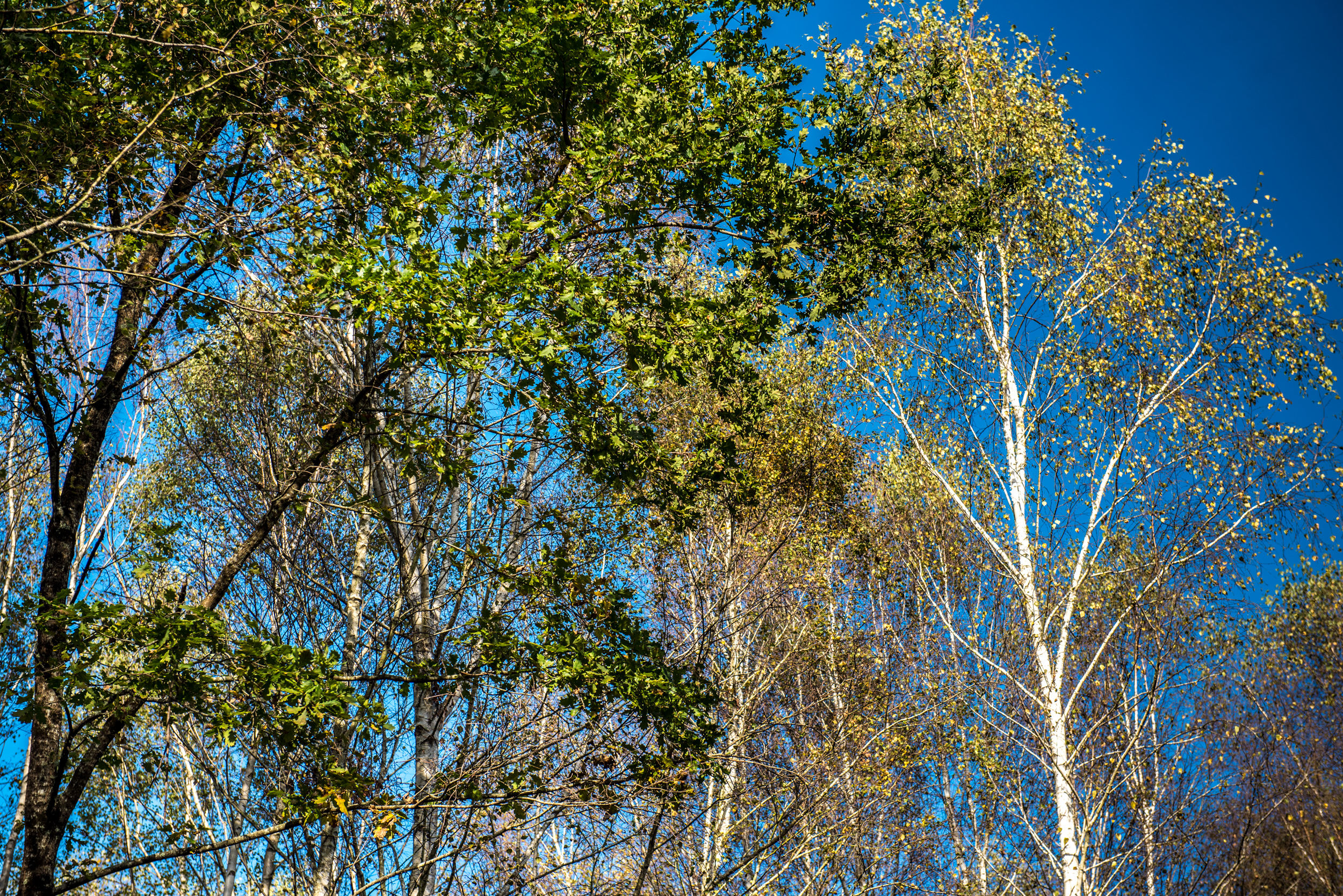 Une source naturelle au service de votre santé,Cabanac-et-Villagrains,33650,Nouvelle-Aquitaine,France