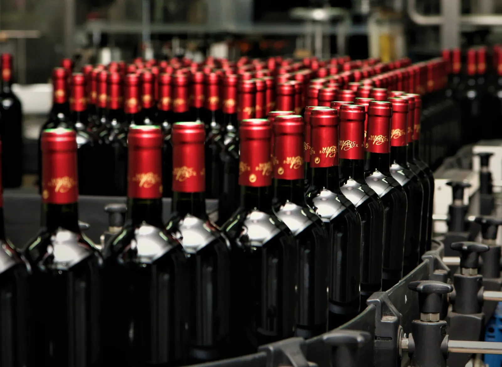 LES VIGNERONS D'UNI-MÉDOC,Gaillan-en-Médoc,33340,Nouvelle-Aquitaine,France