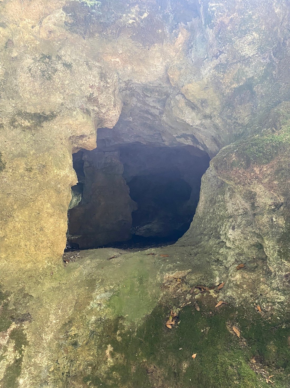Grotte de Pair-non-Pair,Tauriac,33710,Nouvelle-Aquitaine,France