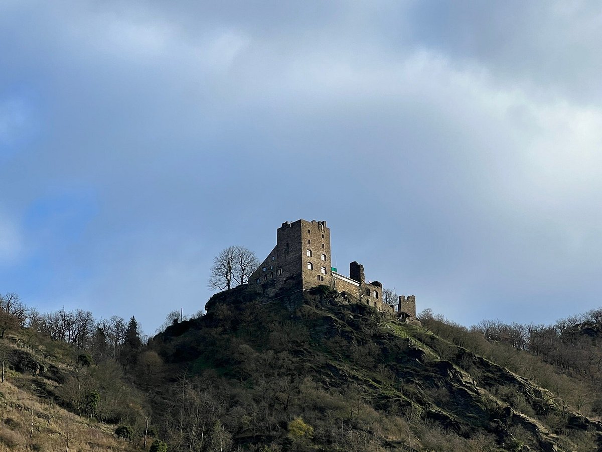 Viking Cruises,Bordeaux,33360,Nouvelle-Aquitaine,France