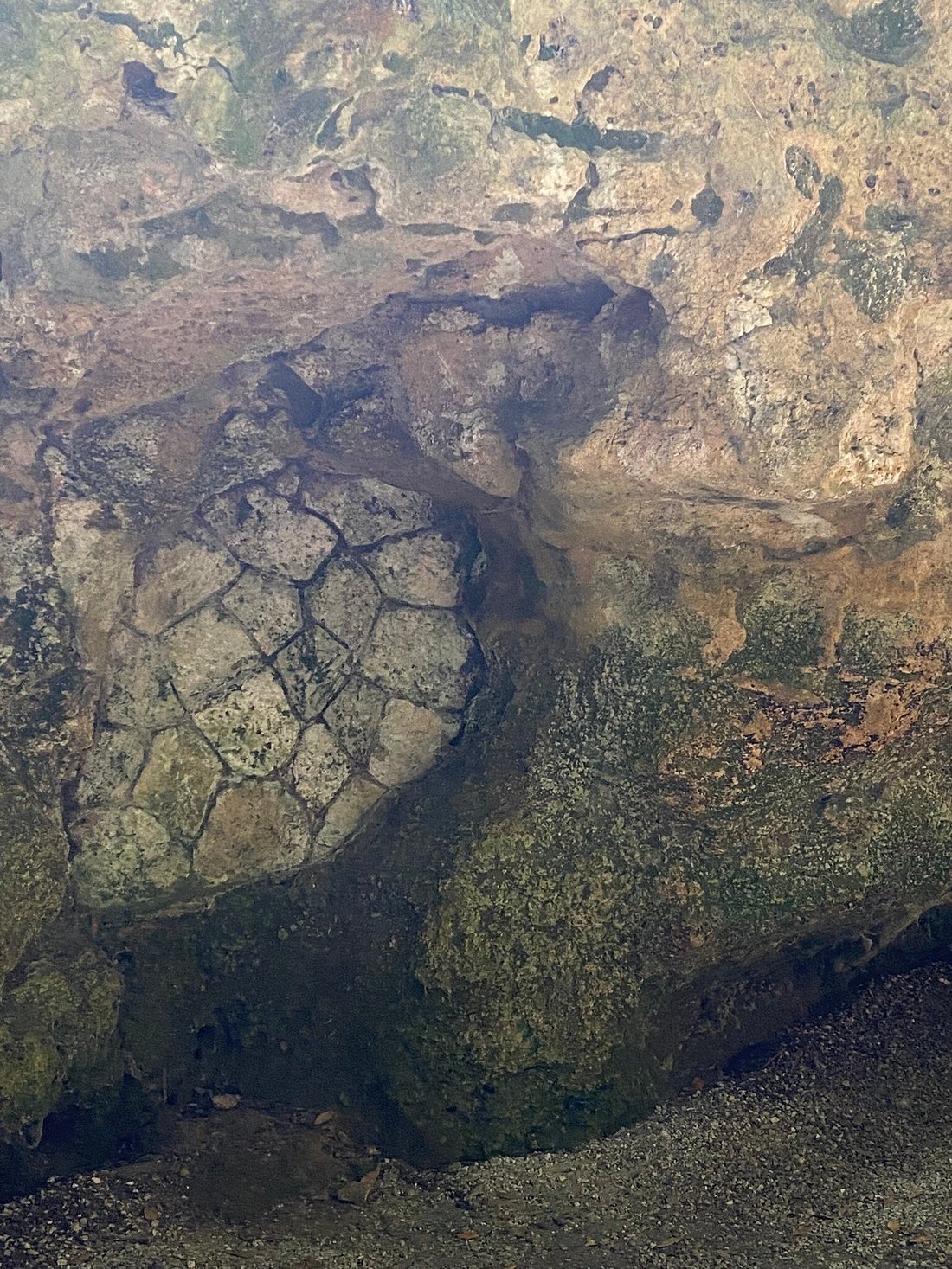 Grotte de Pair-non-Pair,Tauriac,33710,Nouvelle-Aquitaine,France