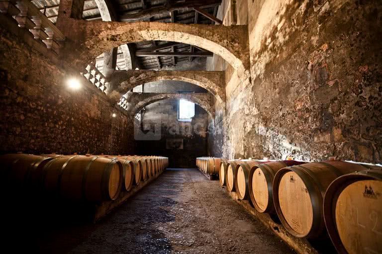 Visite Classique du Château de Taillan,Le Taillan-Médoc,33320,Nouvelle-Aquitaine,France