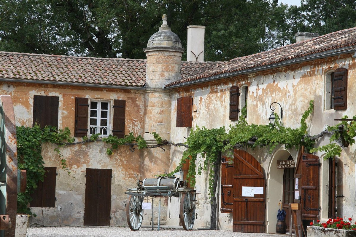Château La Tour de By,Bégadan,33340,Nouvelle-Aquitaine,France