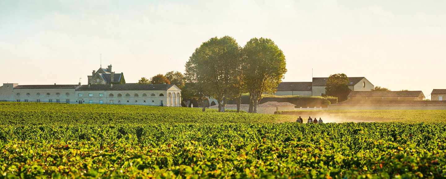 Découvrir Château Mouton Rothschild,Pauillac,33250,Nouvelle-Aquitaine,France