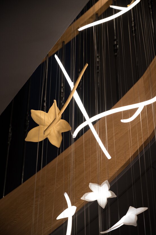 Maison Nouvelle,Bordeaux,33000,Nouvelle-Aquitaine,France