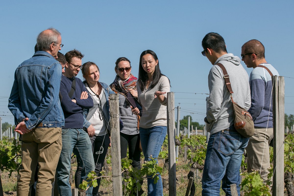 Château Cantenac,Saint-Émilion,33330,Nouvelle-Aquitaine,France