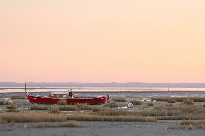 Balade sur le delta de la Leyre en canoé,Le Teich,33470,Nouvelle-Aquitaine,France