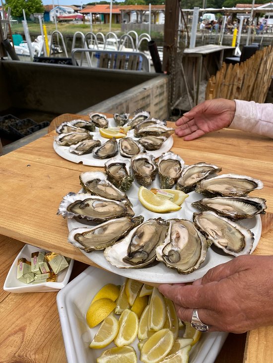 Chez Rémi & Christine Cabane 48,Andernos-les-Bains,33510,Nouvelle-Aquitaine,France