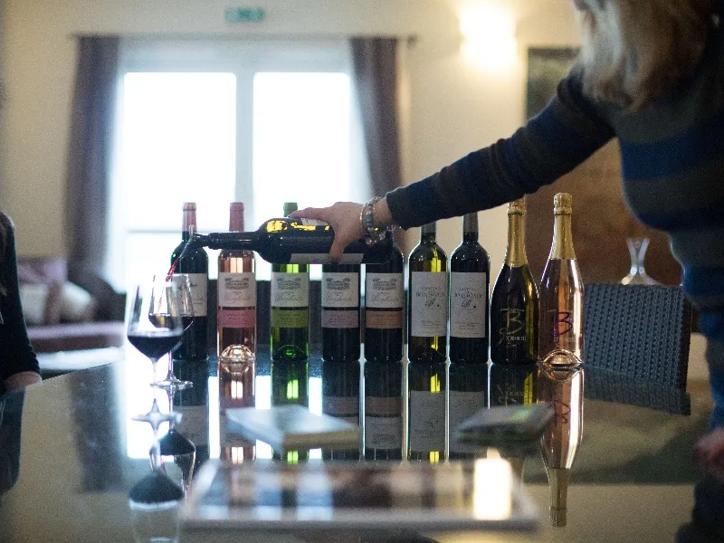 CHÂTEAU DE BONHOSTE,Saint-Jean-de-Blaignac,33420,Nouvelle-Aquitaine,France