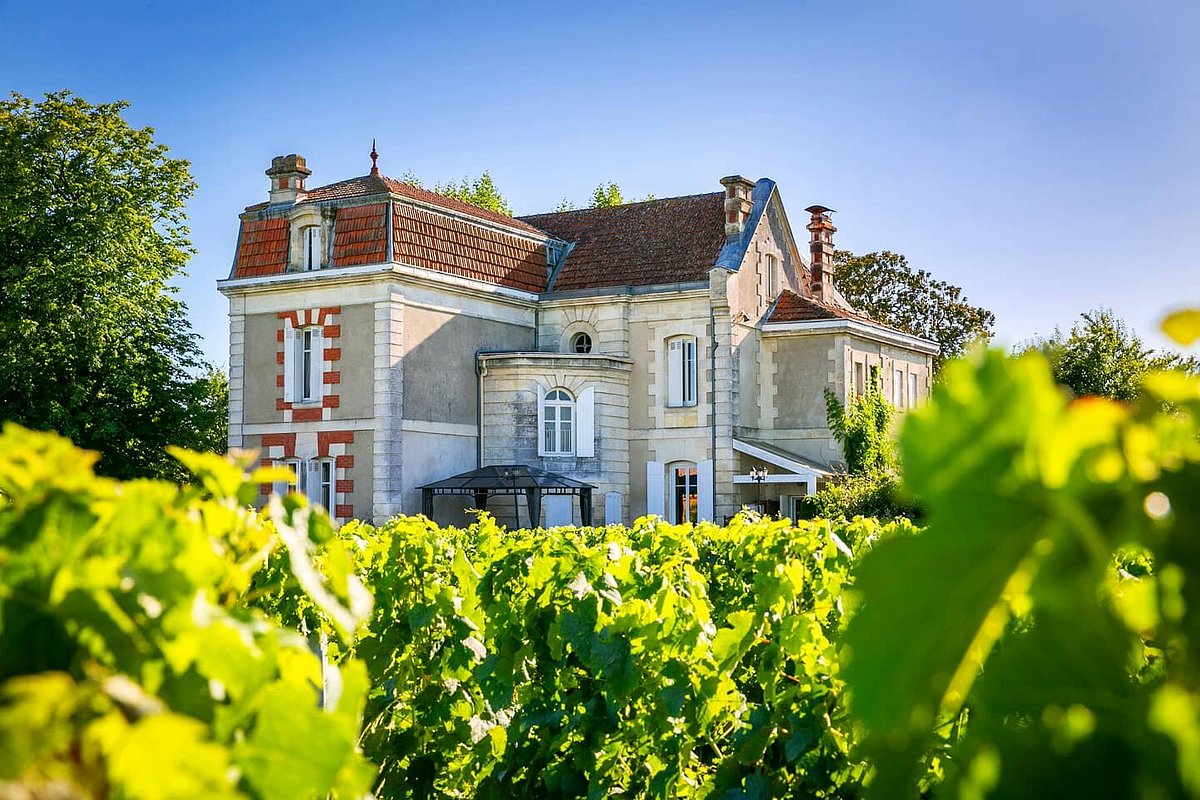 Château Cantenac,Saint-Émilion,33330,Nouvelle-Aquitaine,France