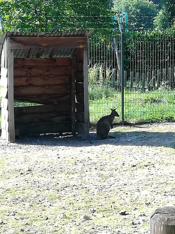 Parc Animalier du Moulineau René Canivenc,Gradignan,33170,Nouvelle-Aquitaine,France