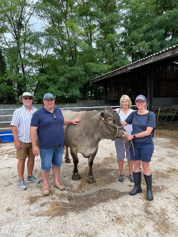 AQUITAINE TRAVEL GUIDE,Bazas,33430,Nouvelle-Aquitaine,France