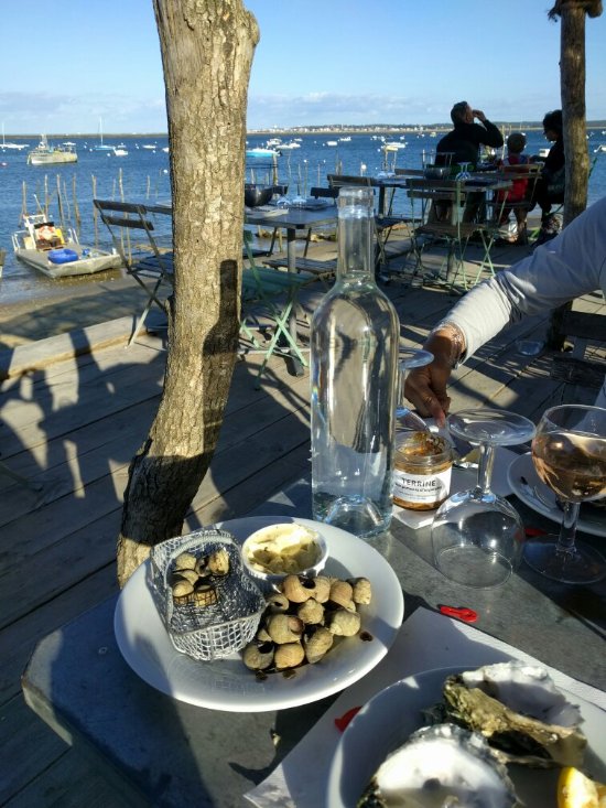 La Cabane des Kykouyou,Lège-Cap-Ferret,33950,Nouvelle-Aquitaine,France