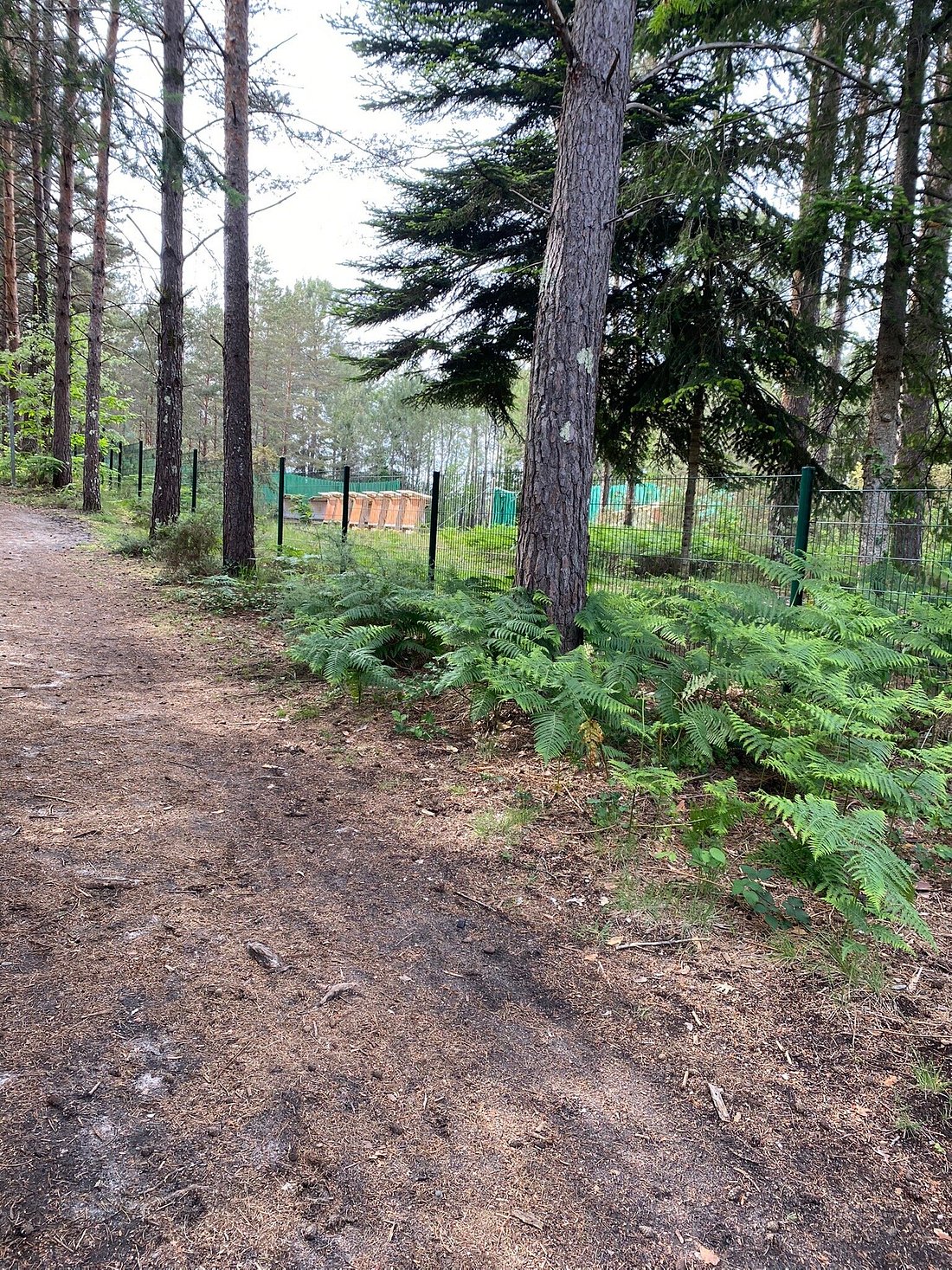 Domaine Départemental Gérard Lagors,Hostens,33125,Nouvelle-Aquitaine,France