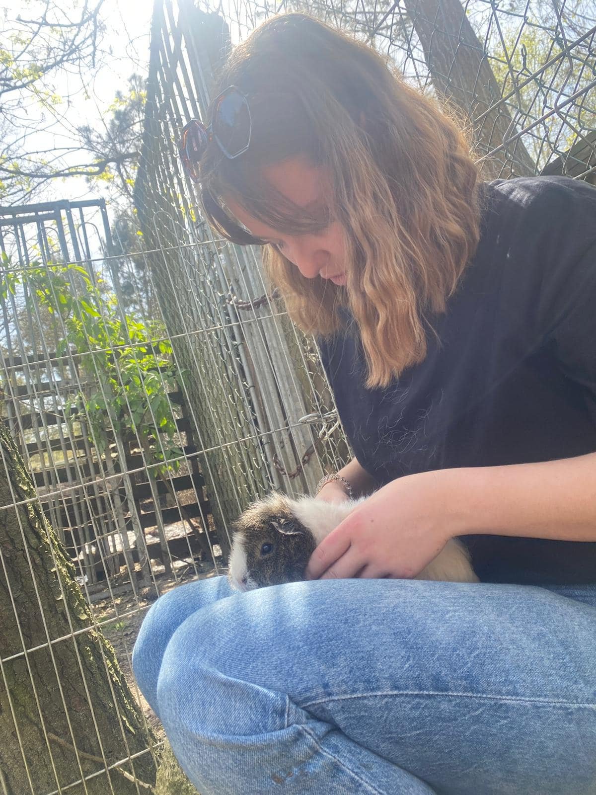 Parc Animalier Sud Gironde,Landiras,33720,Nouvelle-Aquitaine,France