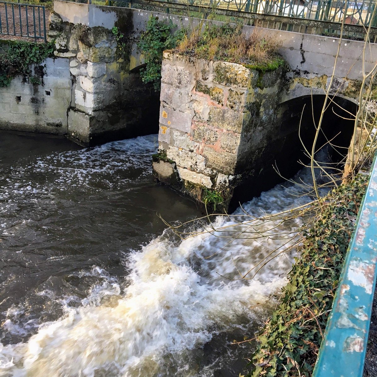 Parc Animalier du Moulineau René Canivenc,Gradignan,33170,Nouvelle-Aquitaine,France