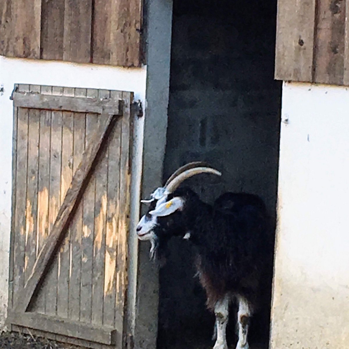 Parc Animalier du Moulineau René Canivenc,Gradignan,33170,Nouvelle-Aquitaine,France