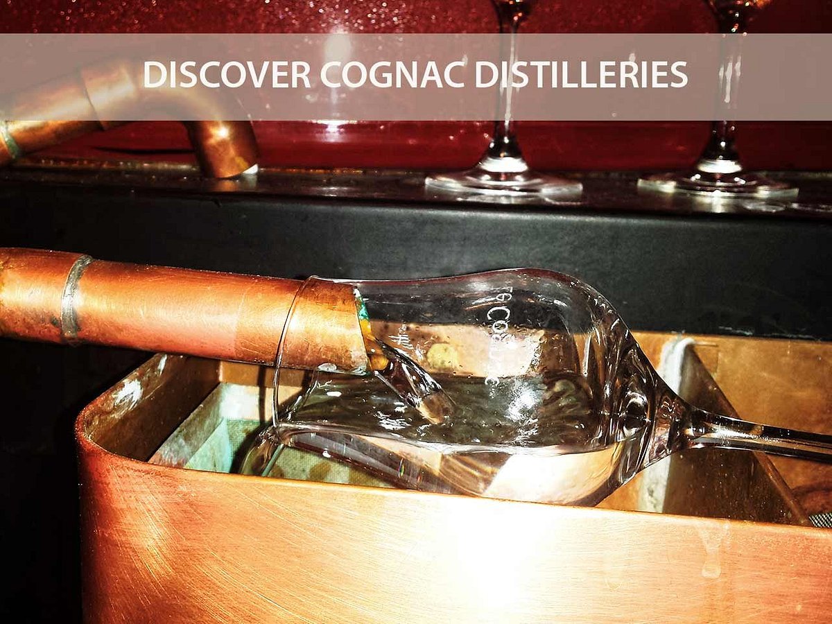 TéléProTour,Bordeaux,33000,Nouvelle-Aquitaine,France