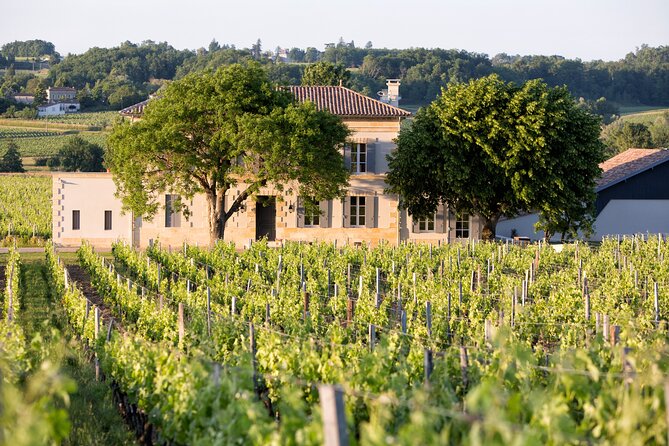 Visite d'une demi-journée au départ de Bordeaux à St-Émilion,Bordeaux,33000,Nouvelle-Aquitaine,France